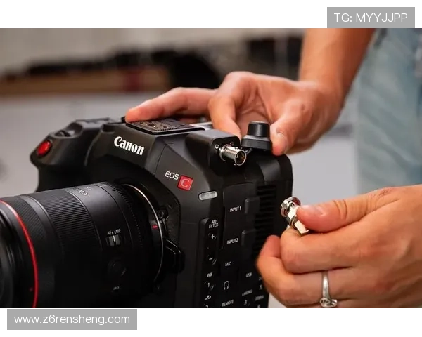 z6尊龙官方网站登录入口最新安全指南及详细操作流程解析